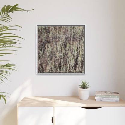 Sage Fields Forever - Unique Stretched Canvas Wall Art - Art By Earth