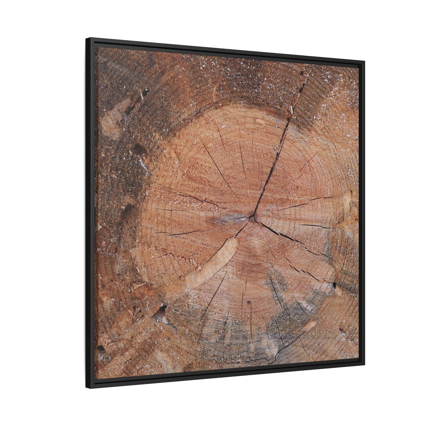 Concentric Memories - Unique Stretched Canvas Wall Art