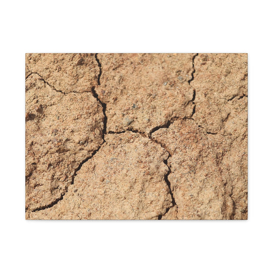 Cracked Earth's Lament - Unique Frameless Canvas Wall Art