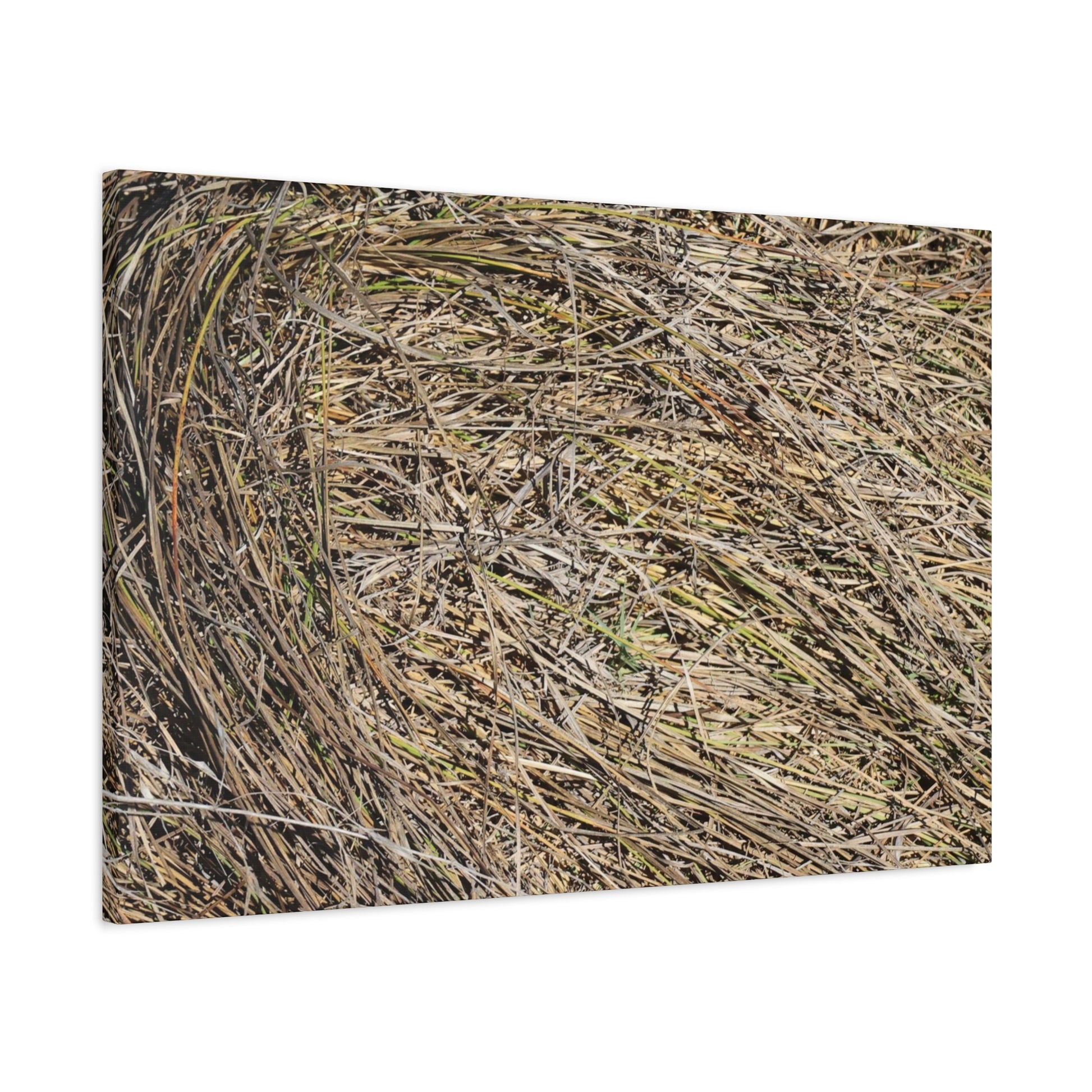 Tangled Hay - Unique Stretched Canvas Wall Art - Art By Earth