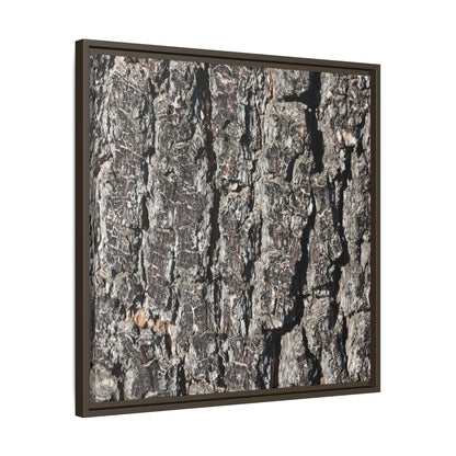Bark Study in Gray - Unique Stretched Canvas Wall Art