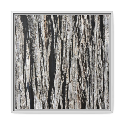 Bark Lines - Unique Stretched Canvas Wall Art