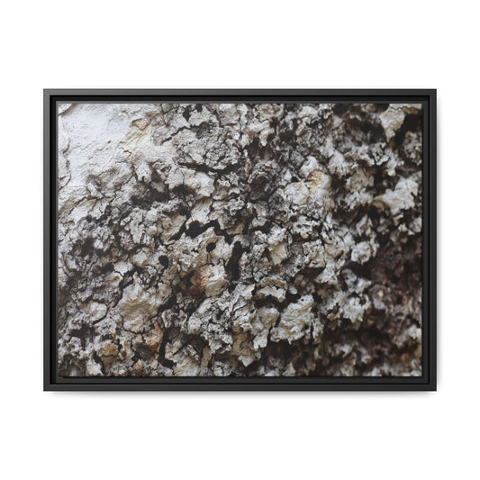 Cracked Terrain - Unique Poster Wall Art