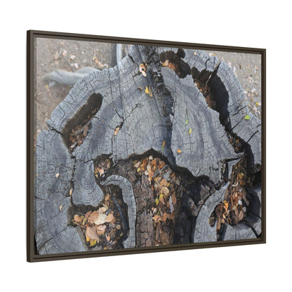 Time's Fractal Memory - Unique Stretched Canvas Wall Art