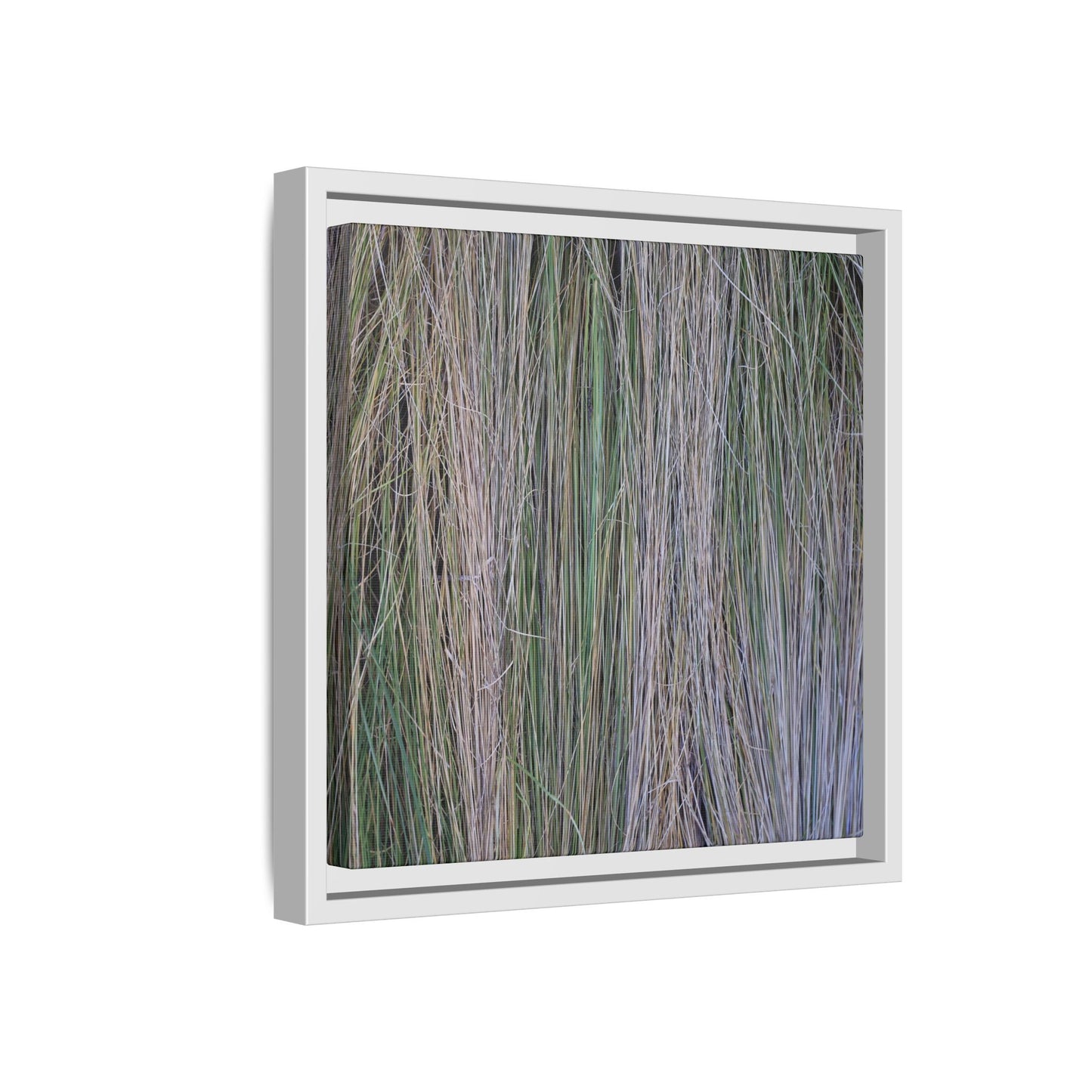 Whispers of Silver Grass - Unique Stretched Canvas Wall Art