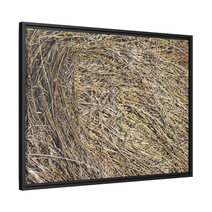 Tangled Grass Symphony - Unique Stretched Canvas Wall Art - Art By Earth
