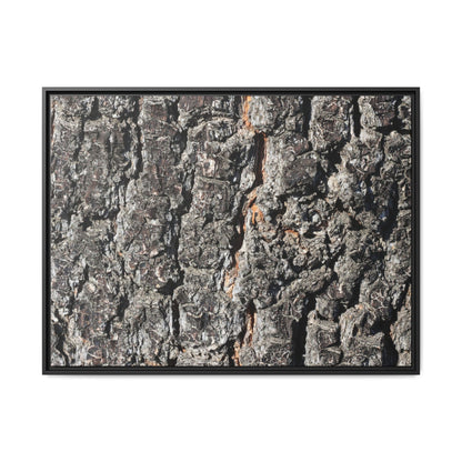 Aged Beauty - Unique Stretched Canvas Wall Art