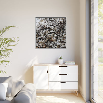 Cracked Terrain - Unique Stretched Canvas Wall Art