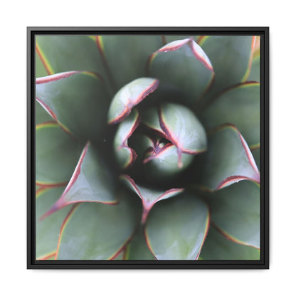 Spiky Elegance - Unique Stretched Canvas Wall Art