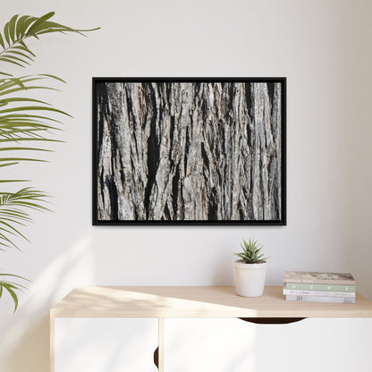 Nature's Abstract - Unique Stretched Canvas Wall Art