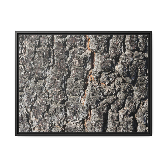 Aged Beauty - Unique Poster Wall Art