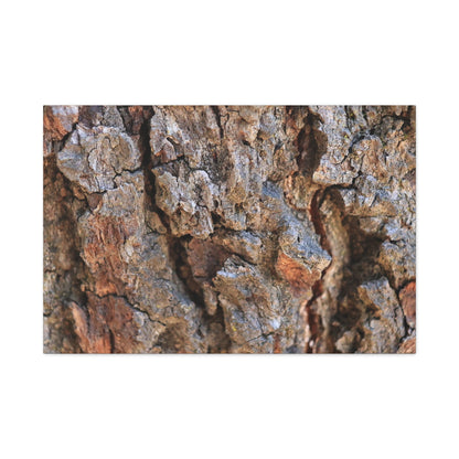 Nature's Skin - Unique Frameless Canvas Wall Art