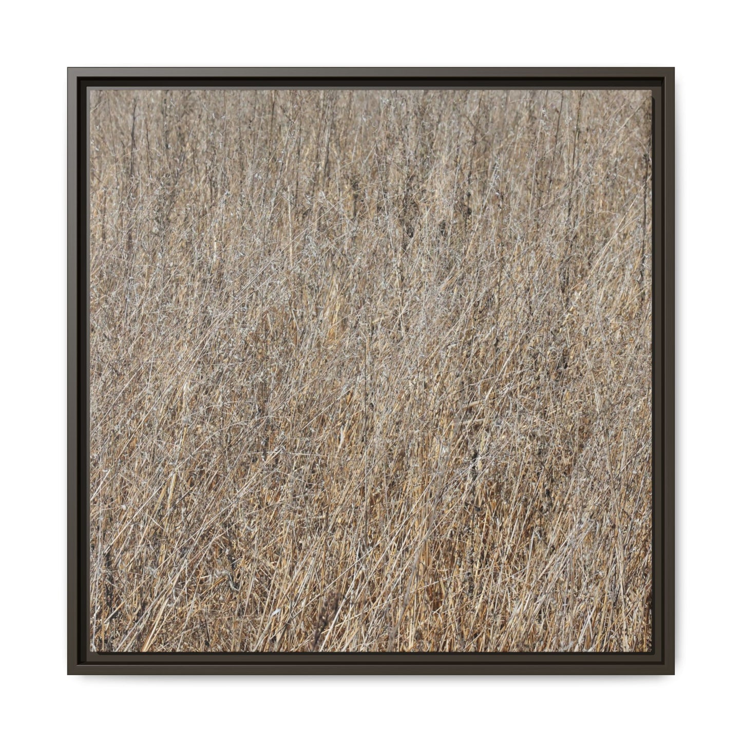 Dry Straw Symphony - Unique Stretched Canvas Wall Art - Art By Earth