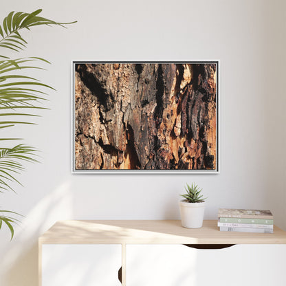 Rugged Beauty - Unique Stretched Canvas Wall Art