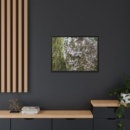 Lichen Landscape - Unique Stretched Canvas Wall Art