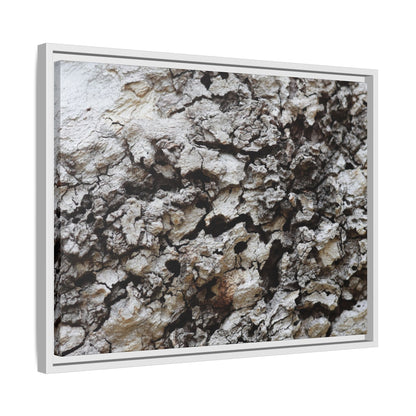 Cracked Terrain - Unique Stretched Canvas Wall Art