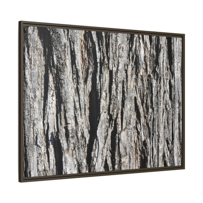 Bark Lines - Unique Stretched Canvas Wall Art