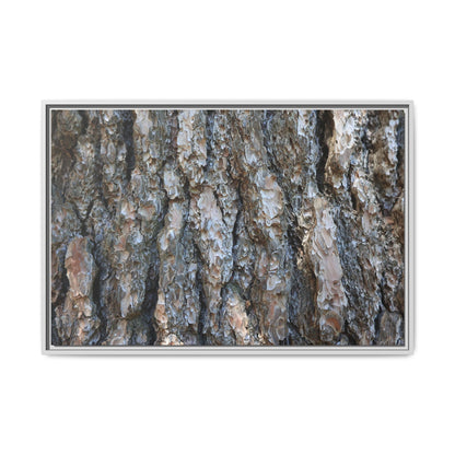 Bark Whispers - Unique Stretched Canvas Wall Art
