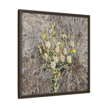 Whispers of the Dry Grass - Unique Stretched Canvas Wall Art - Art By Earth