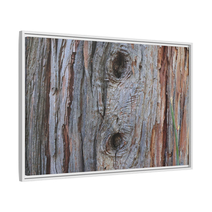 Knotty Nature - Unique Stretched Canvas Wall Art