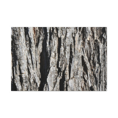 Bark Textures in Monochrome - Unique Frameless Canvas Wall Art