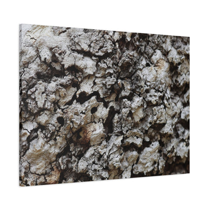 Cracked Earth Tapestry - Unique Frameless Canvas Wall Art