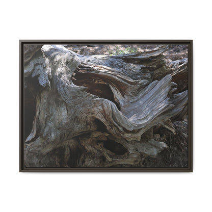 Twisted Memories - Unique Stretched Canvas Wall Art