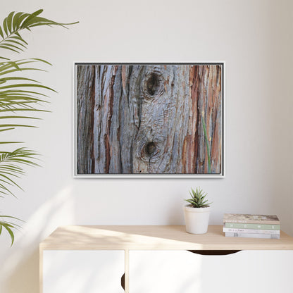 Knotty Nature - Unique Stretched Canvas Wall Art
