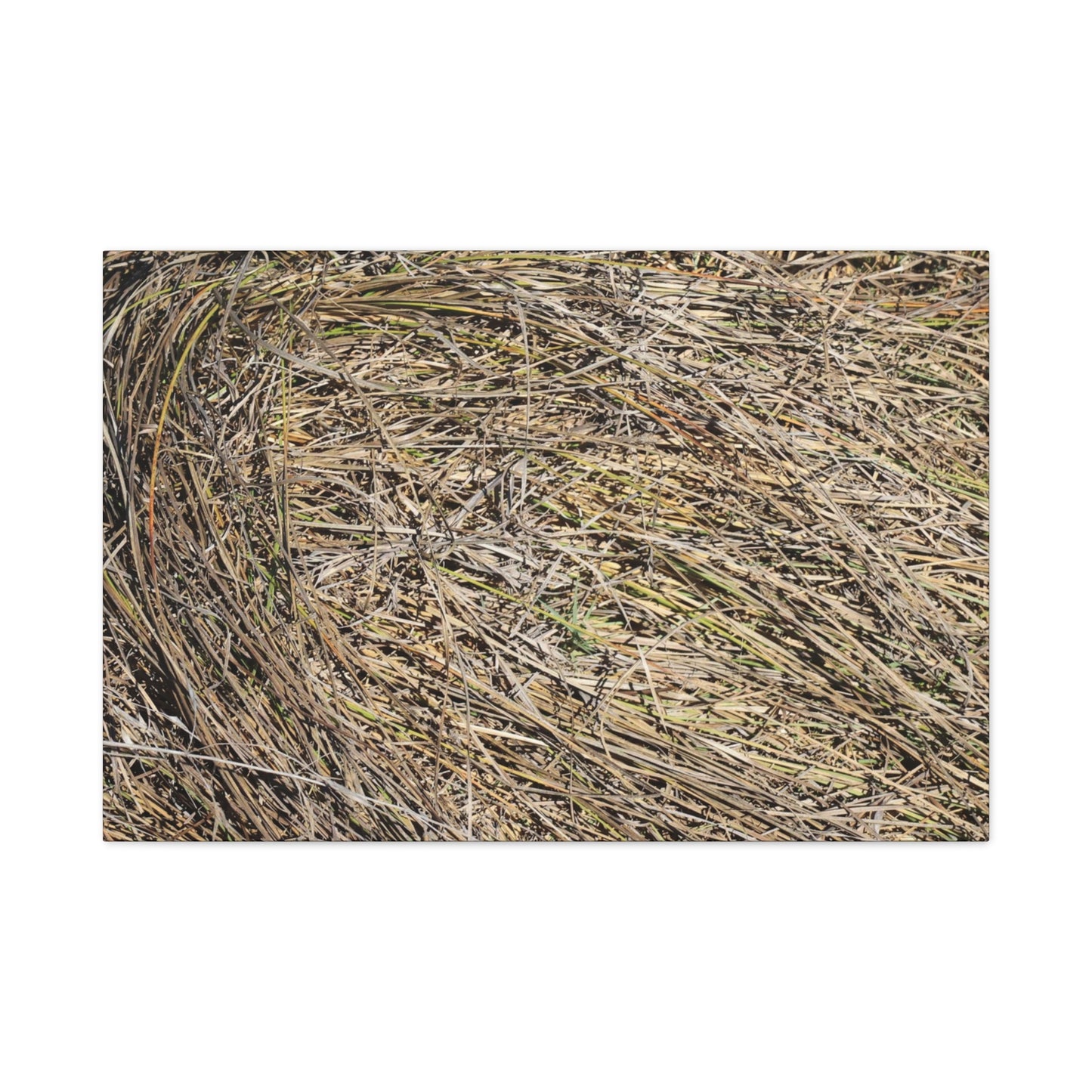 Tangled Hay - Unique Stretched Canvas Wall Art - Art By Earth