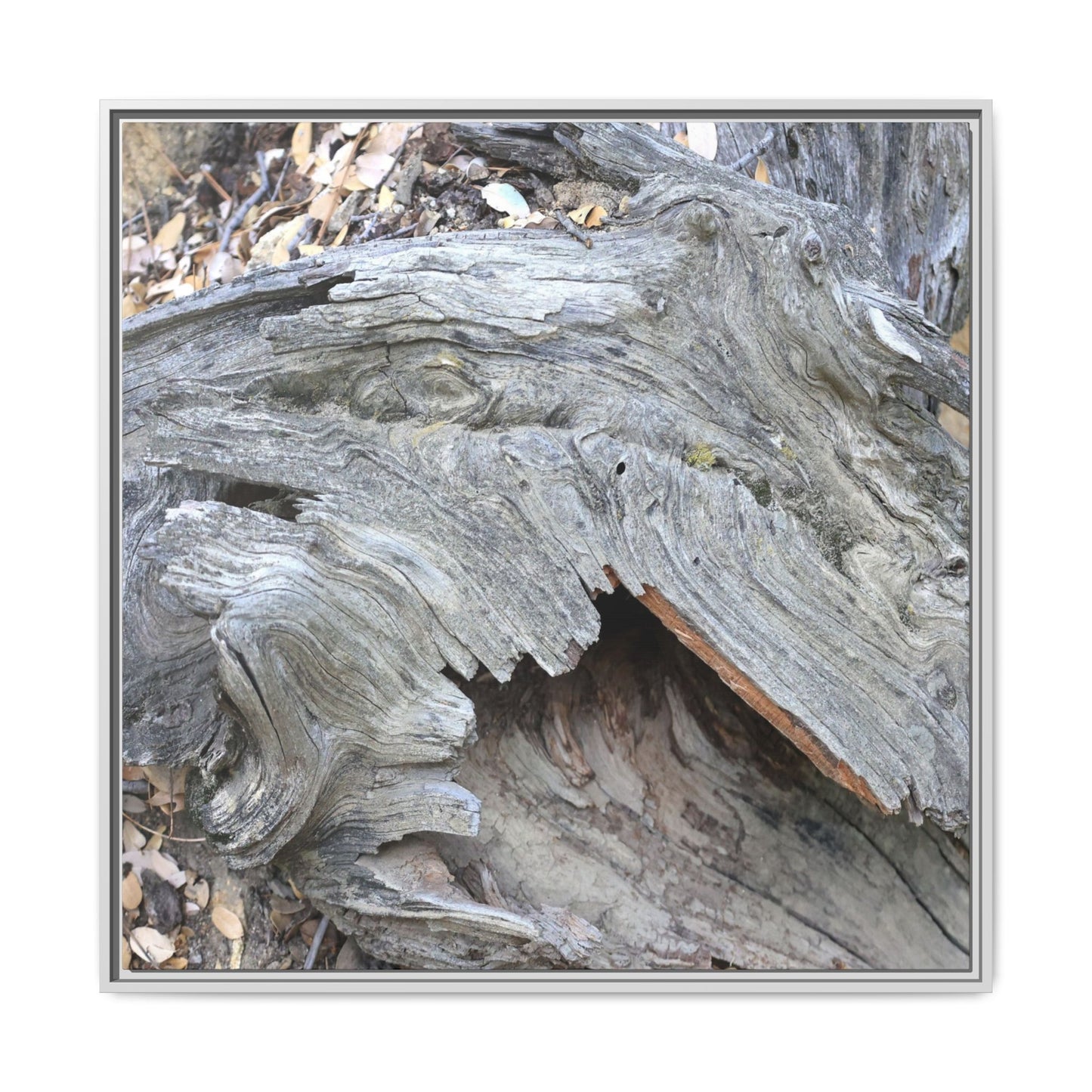 Driftwood Dreams - Unique Stretched Canvas Wall Art