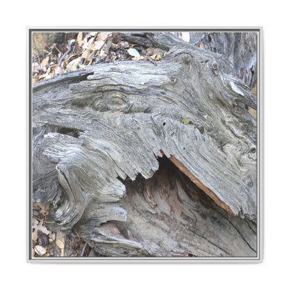 Driftwood Dreams - Unique Stretched Canvas Wall Art