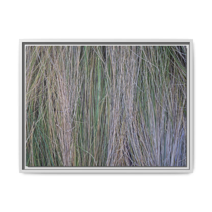Whispers of Silver Grass - Unique Stretched Canvas Wall Art