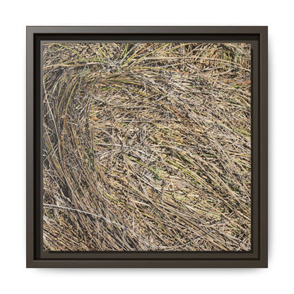 Tangled Grass Symphony - Unique Stretched Canvas Wall Art - Art By Earth