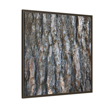 Bark Whispers - Unique Stretched Canvas Wall Art