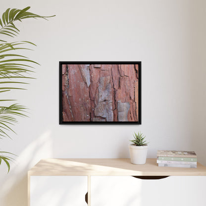 Peeling Bark - Unique Stretched Canvas Wall Art