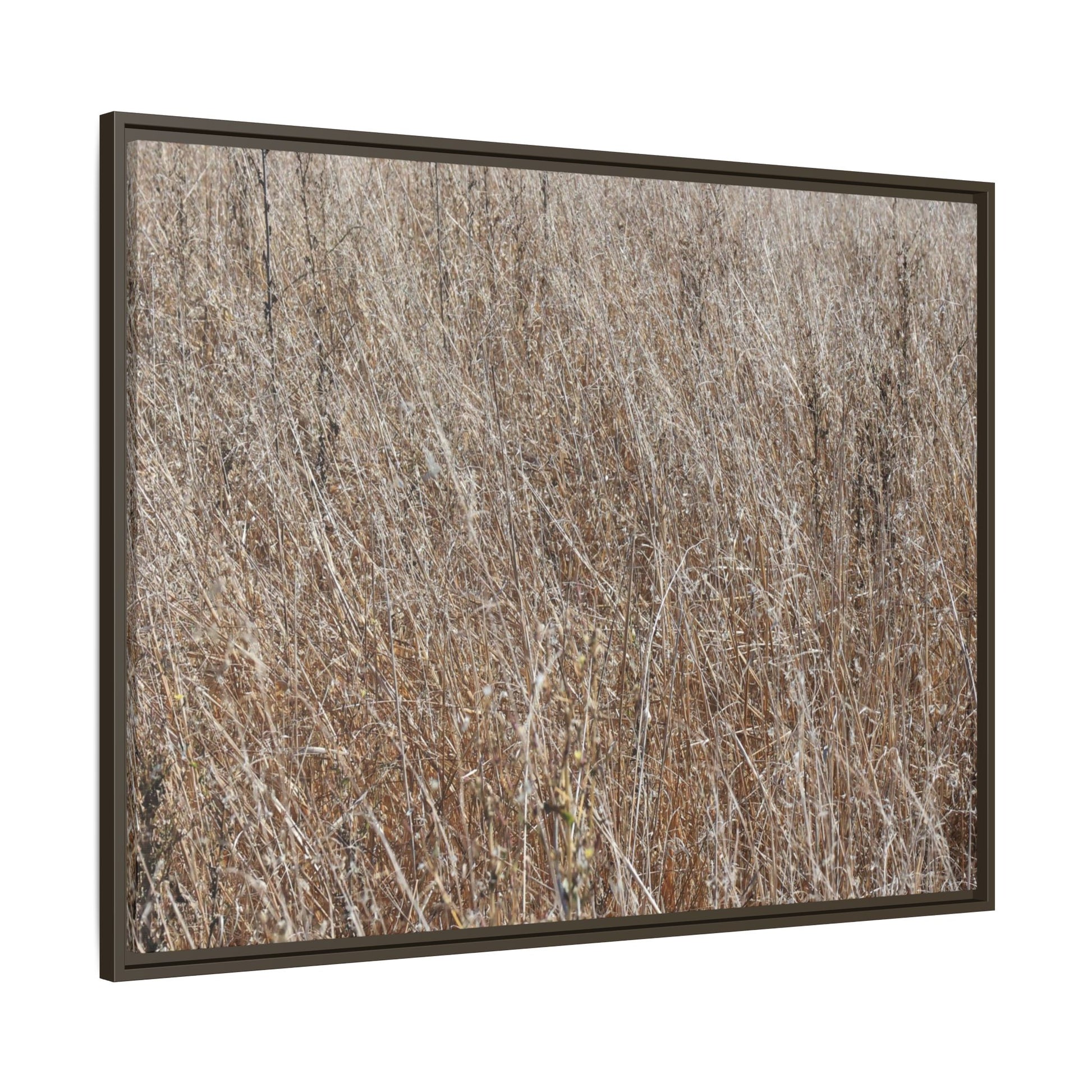 Whispers of Autumn - Unique Stretched Canvas Wall Art - Art By Earth