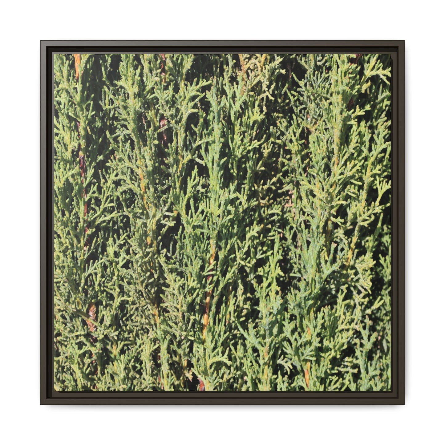 Emerald Labyrinth - Unique Stretched Canvas Wall Art - Art By Earth