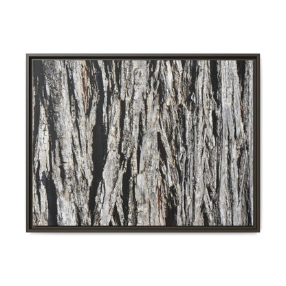 Nature's Abstract - Unique Stretched Canvas Wall Art