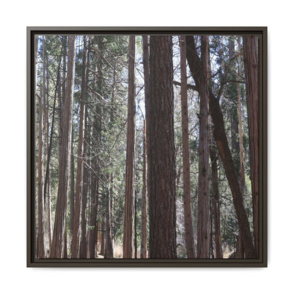 Forest Cathedral - Unique Stretched Canvas Wall Art