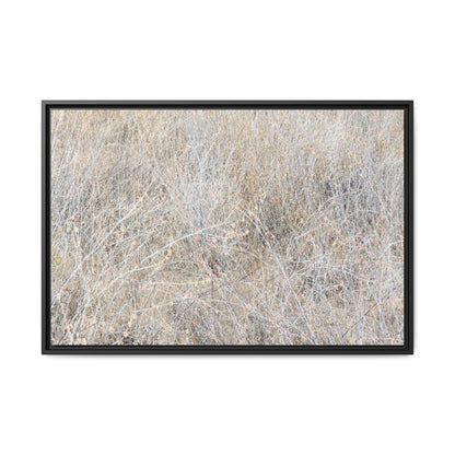 Whispers of Dry Grass - Unique Stretched Canvas Wall Art - Art By Earth