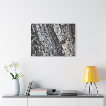 Nature's Rough Embrace - Unique Frameless Canvas Wall Art