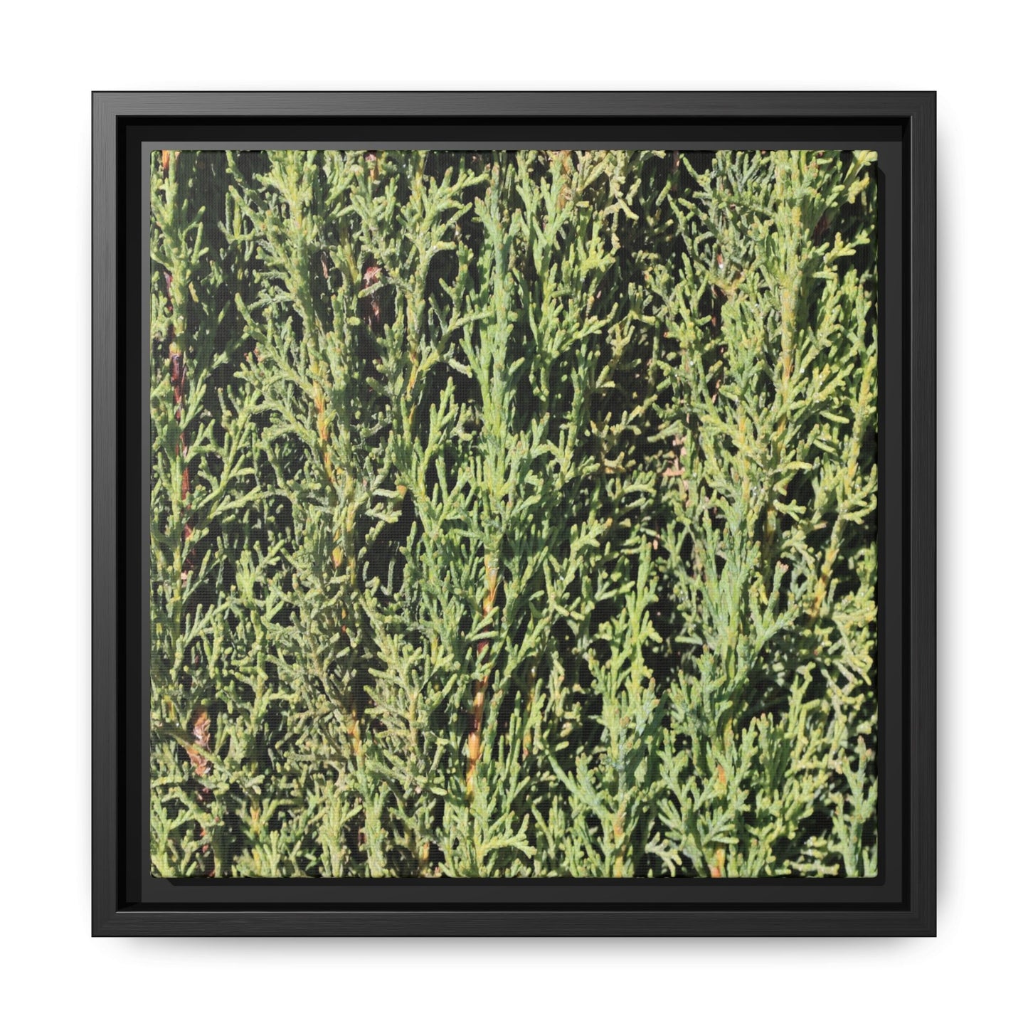 Emerald Labyrinth - Unique Stretched Canvas Wall Art - Art By Earth