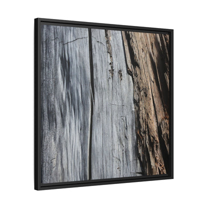 Wood's Lament - Unique Stretched Canvas Wall Art