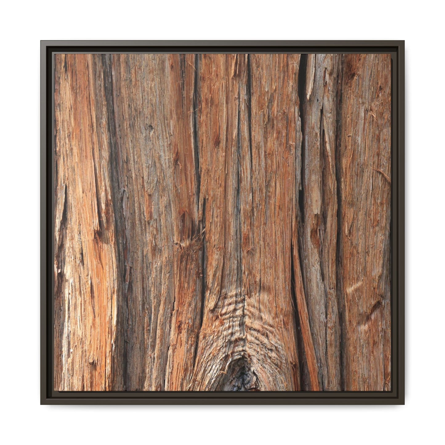 Echoes of Timber - Unique Stretched Canvas Wall Art