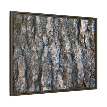Bark Whispers - Unique Stretched Canvas Wall Art