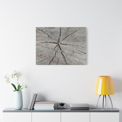 Cracked Chronicle - Unique Frameless Canvas Wall Art
