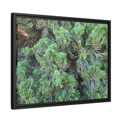 Verdant Whispers - Unique Stretched Canvas Wall Art