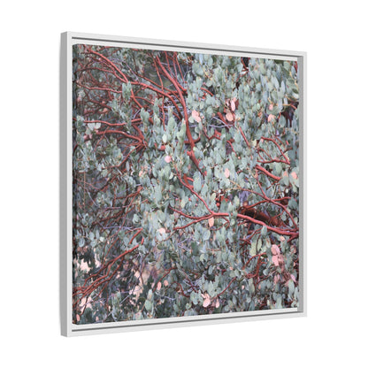 Whispers of Sage - Unique Stretched Canvas Wall Art