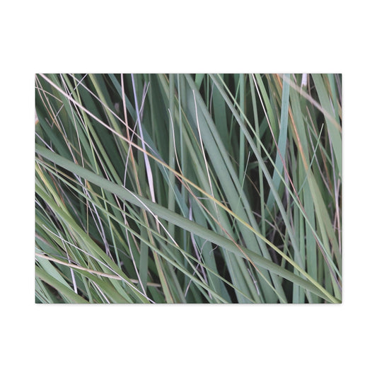 Whispers of Green - Unique Frameless Canvas Wall Art