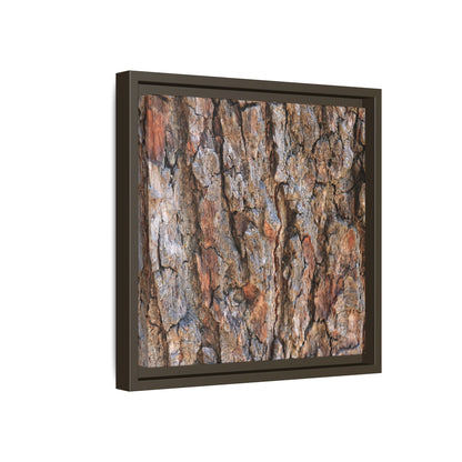 Tree's Timeworn Tale - Unique Stretched Canvas Wall Art